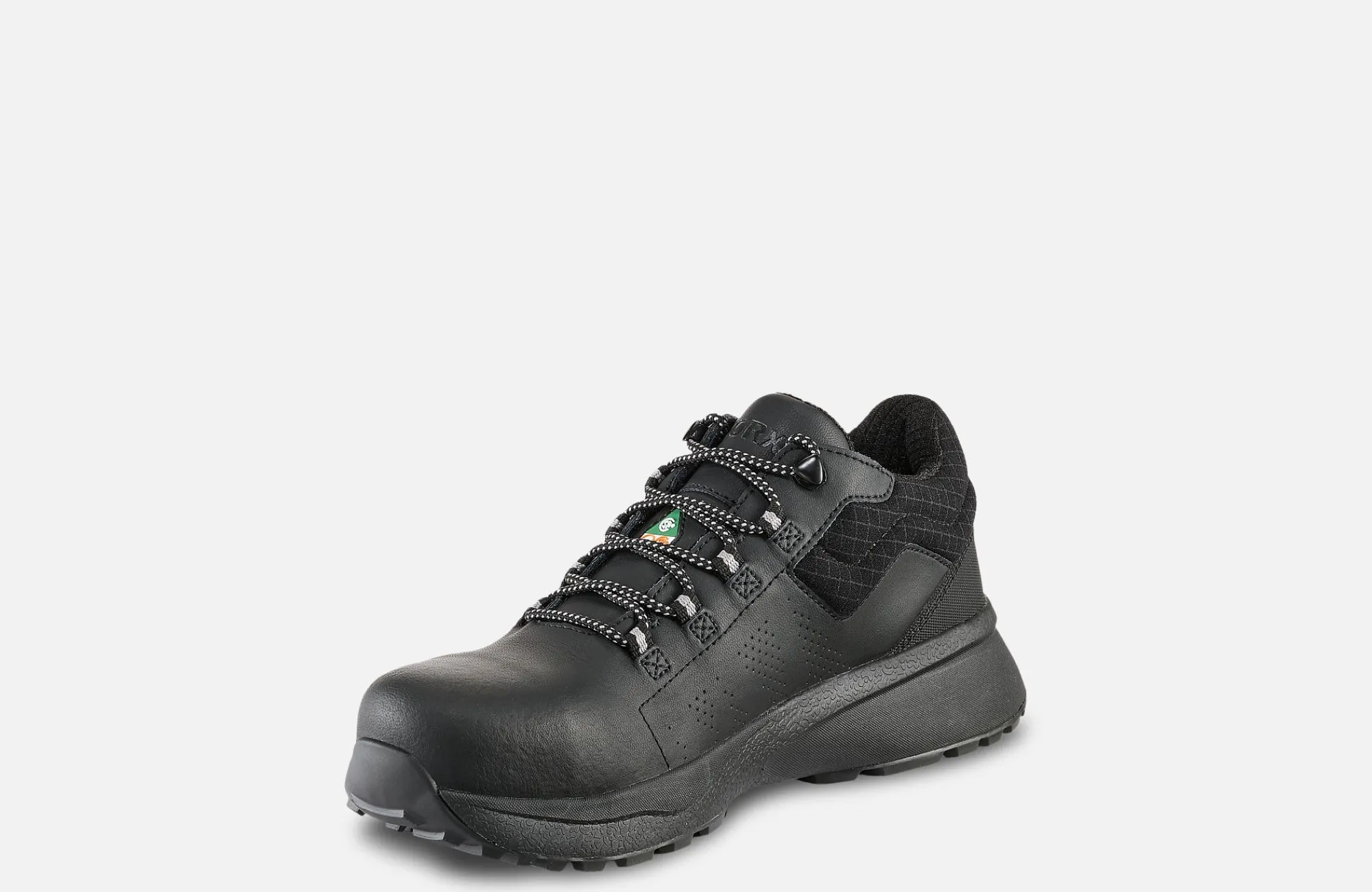 antimatter_2-3.webp Worx^Red Wing Shoes AntiMatter